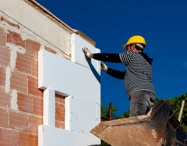 Best Geographic-Specific Insulation Services in Greenville, NC